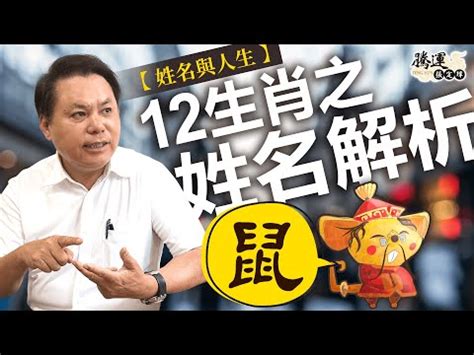 周易姓名學|【免費八字與姓名分析】免費解讀你的八字與姓名，揭開命運的秘。